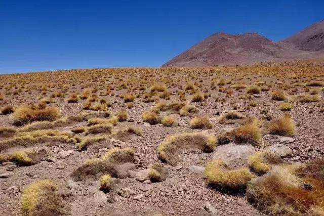 这才是旅行的样子,从亚洲至南美洲,他比我们多了点勇气和决心