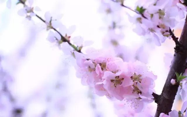 被痘痘肌困扰的朋友们福音来啦,被痘痘折磨的朋友看过来