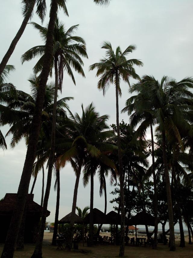 海南环岛自由行攻略最详细,海南环岛骑车多少公里