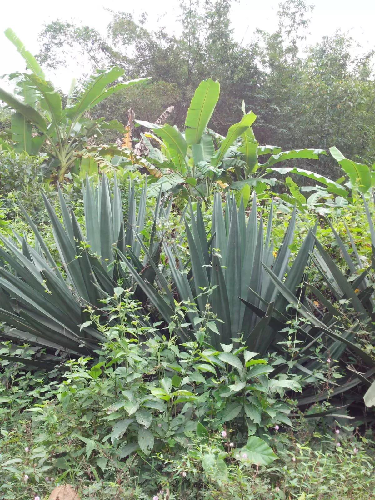 海南环岛自由行攻略最详细,海南环岛骑车多少公里