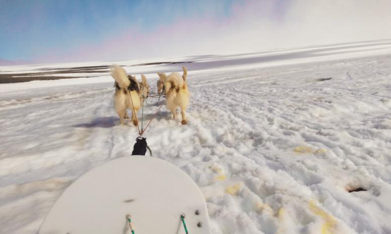 北纬66度地形图,北纬66度的纬线