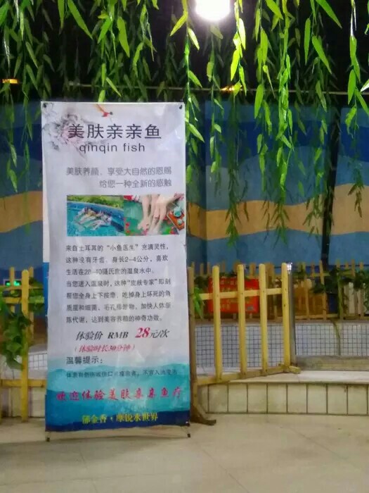 郁金香摩锐水世界还营业吗,郁金香摩锐水世界北京