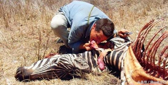 强大的生存技能,野外的生存技能