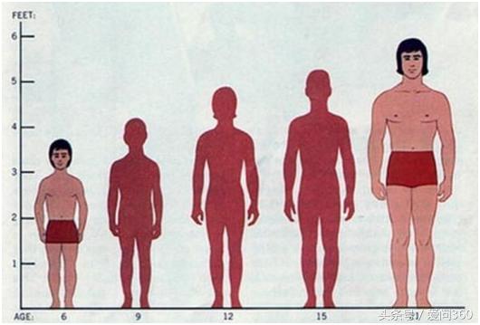 20岁能再长高5厘米,20岁还能长高例子