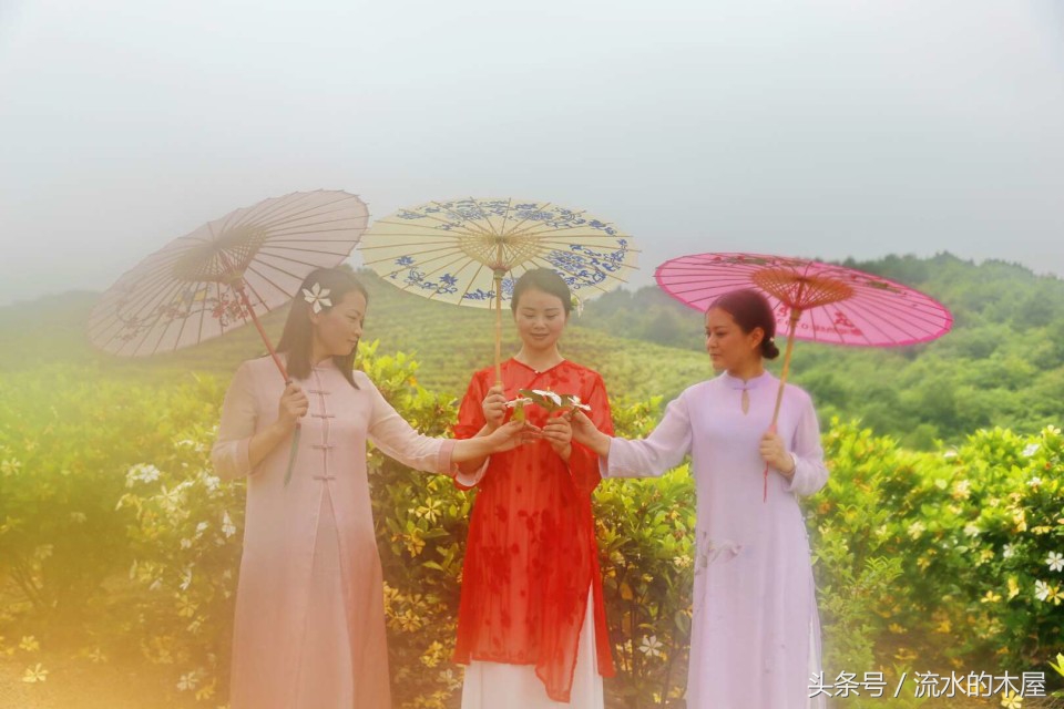 德兴黄柏最新消息,德兴黄柏火灾新闻