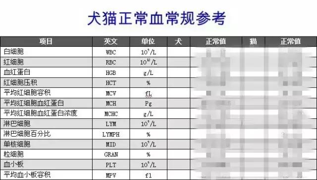 汪星人的化验单一个字都看不懂？我一定拿了张假单！