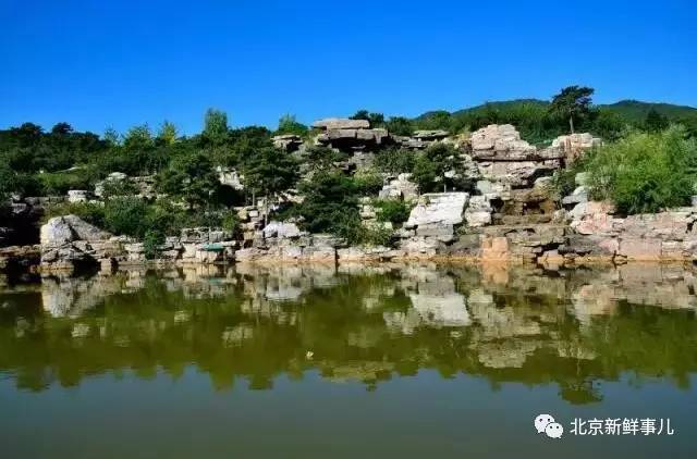 北京最美赏花公园在哪,北京赏花公园景点推荐