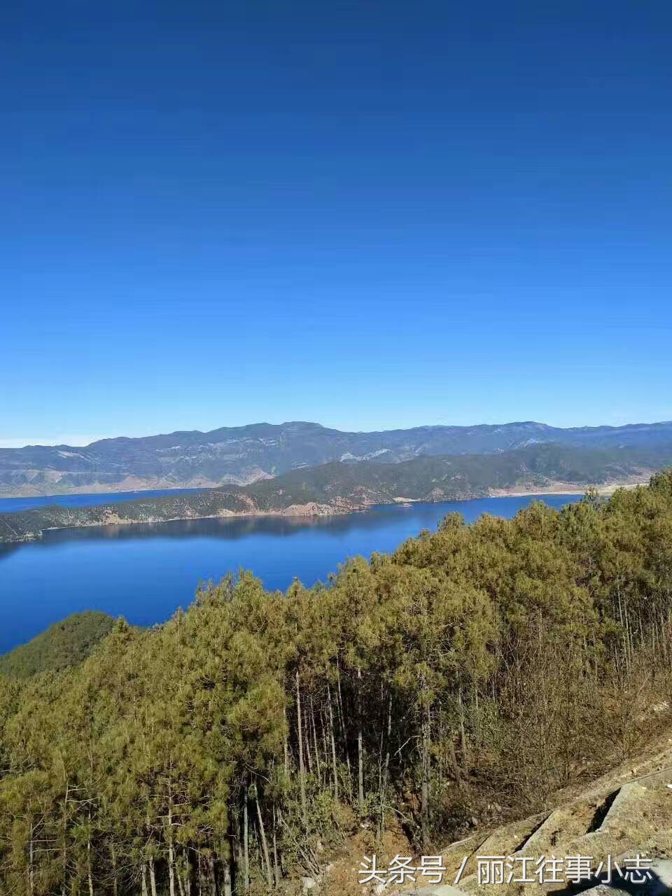 云南旅游游记的作文,云南旅游游记美篇