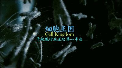 干细胞治疗人体疾病有效率是多少,干细胞治疗与精准医疗