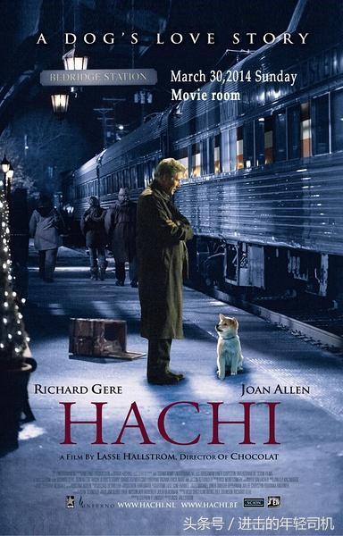 推荐十部关于人与动物的电影,值得一看的动物题材电影