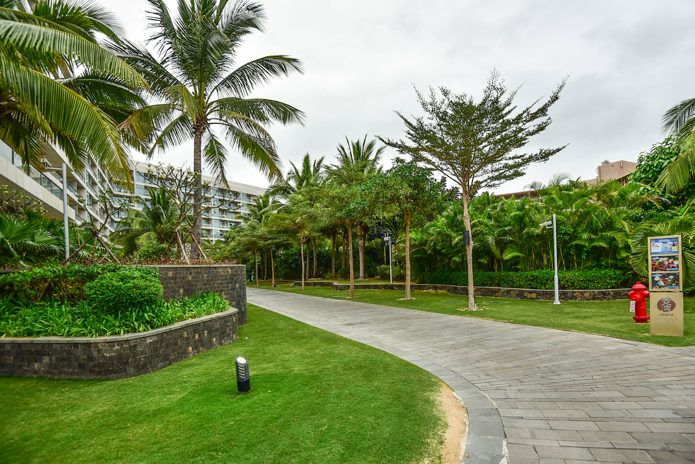 那片天空那片海这里的美人鱼不会游泳
