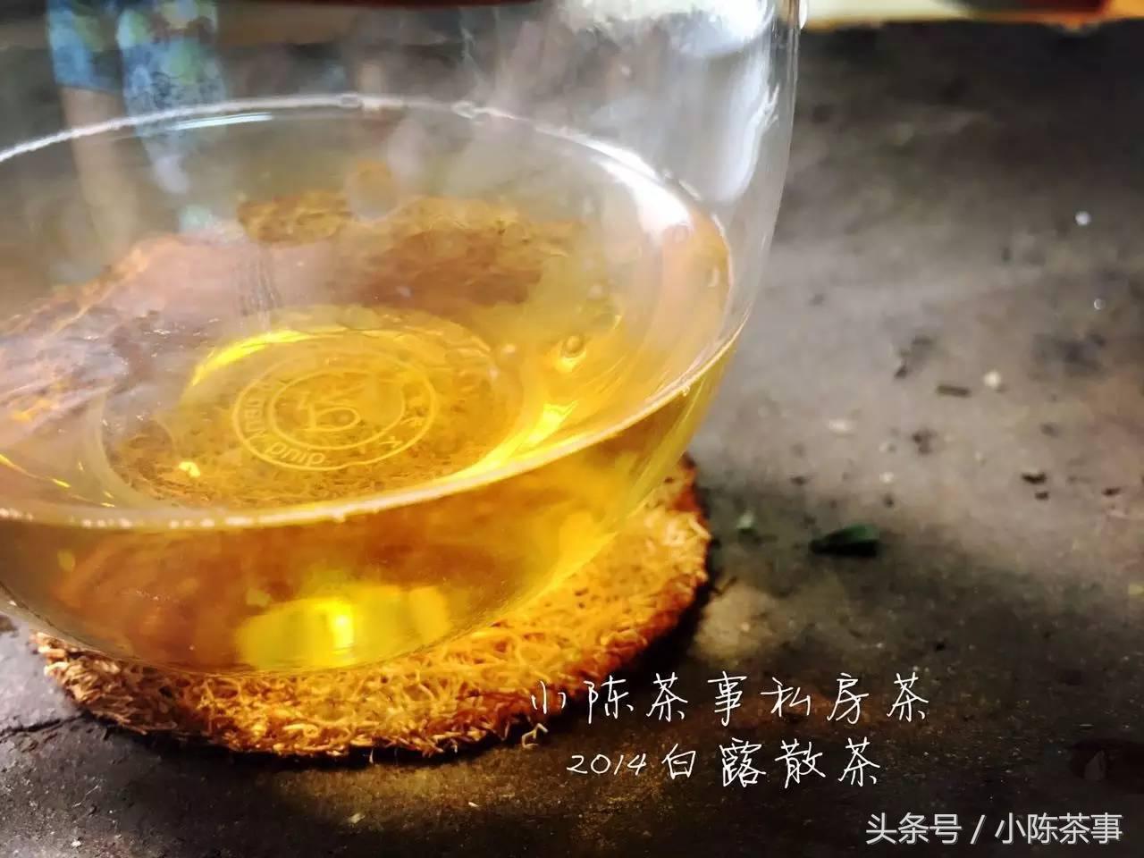 15年白露茶散茶,2019年的白露茶