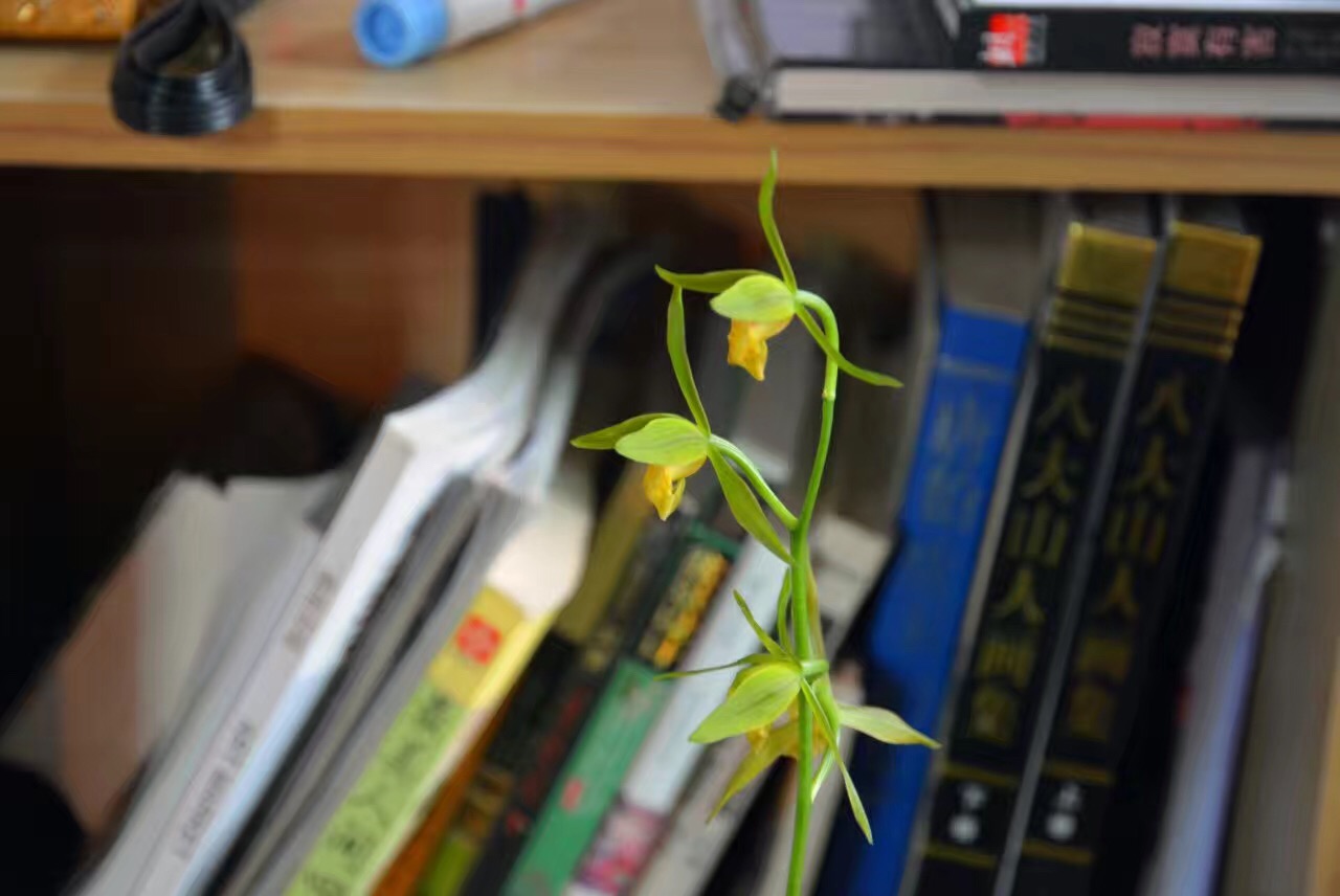 骞夸笢娼窞鍑ゅ嚢闆尪,娼睍闆尪