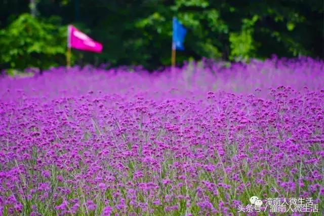 潼南附近的城市好玩的地方,潼南是不是个好地方