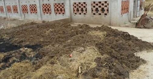 猪粪过多的土地怎么办,猪粪露天堆放的危害到底有多大