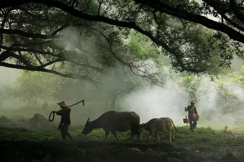 诵读道德经第三章圣人之治,每日诵读道德经第二章