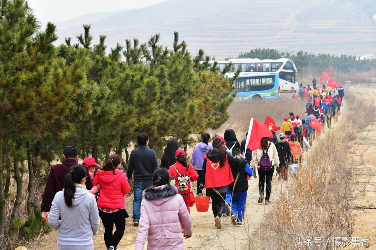 义务植树与创建森林城市,共建文明城市小学生