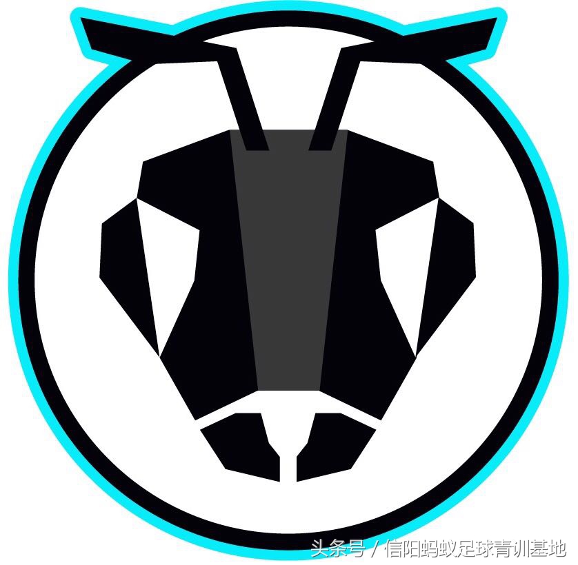 2019年固始县足球比赛,新县vs固始篮球赛