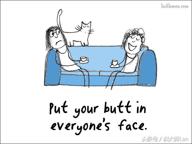 模拟猫咪攻略,驯服猫咪攻略