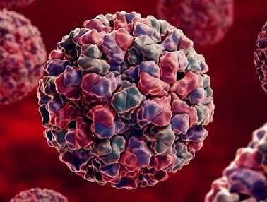 备孕用药要谨慎,否则后果不堪设想!