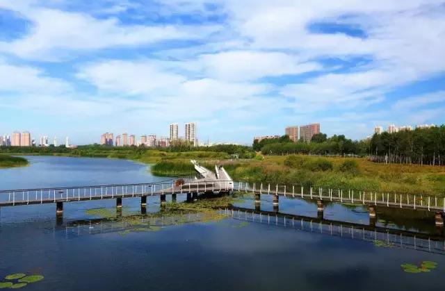 来东北安家,来哈尔滨安家