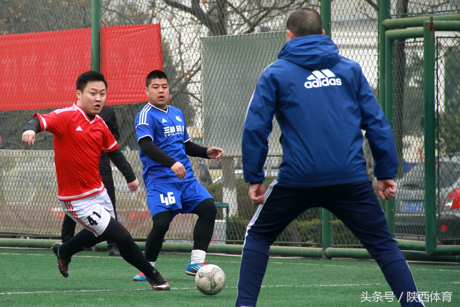 植树节种下一棵树守护一方水土,2020的植树节在心里种下一棵树