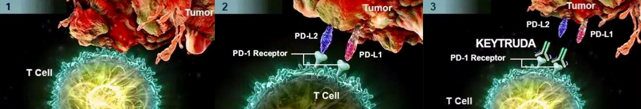 关于癌症你一定要知道的事,肺癌家属应该知道哪些问题