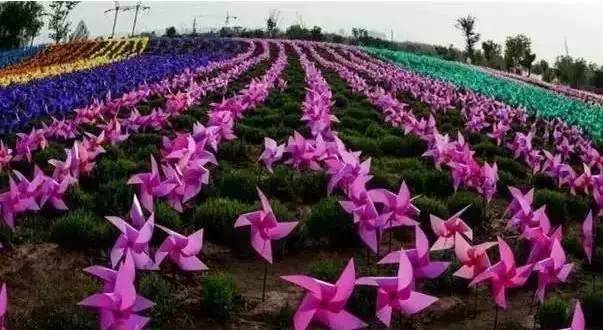 周末特色旅游景点推荐沈阳,沈阳周末好去处长白岛森林公园