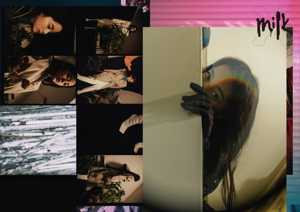 娆ч槼濞滃宸撮粠涓栧鍚屾,娆ч槼濞滃鍧庤偐浠挎