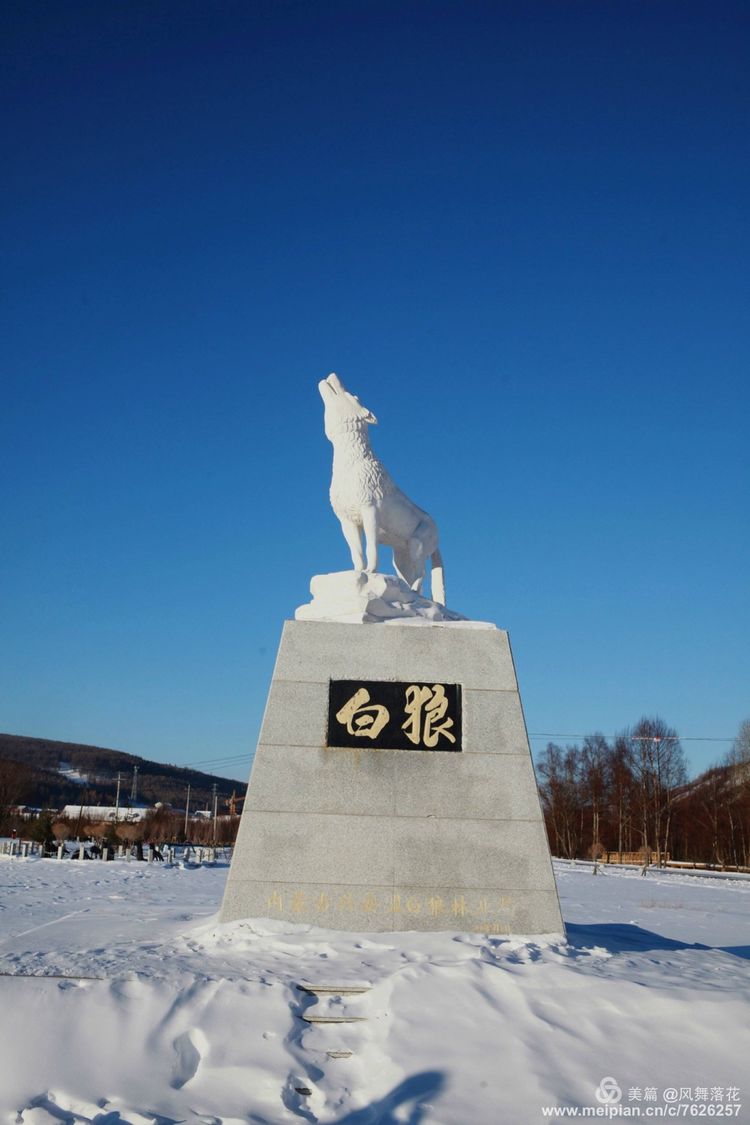 白狐千年等待只为今生相遇,白狼一生只爱一人