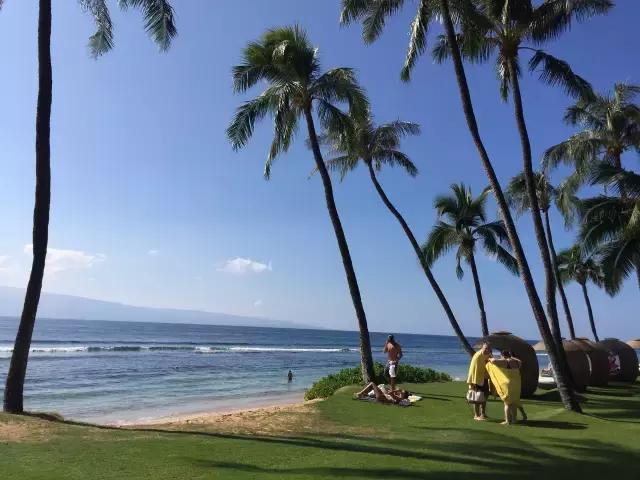 夏威夷毛伊岛旅行记 (毛伊岛旅游必做的100件事)