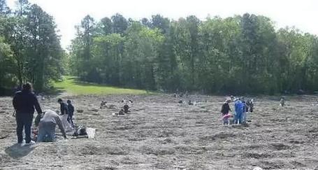 女孩将沙子里捡到的石头送给猎人，结果这个城市的鸭子全被杀光了