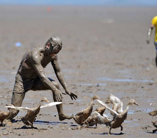 女孩将沙子里捡到的石头送给猎人，结果这个城市的鸭子全被杀光了