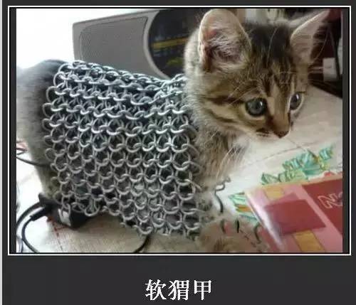 桃花岛稀有宝箱,桃花岛特色物品