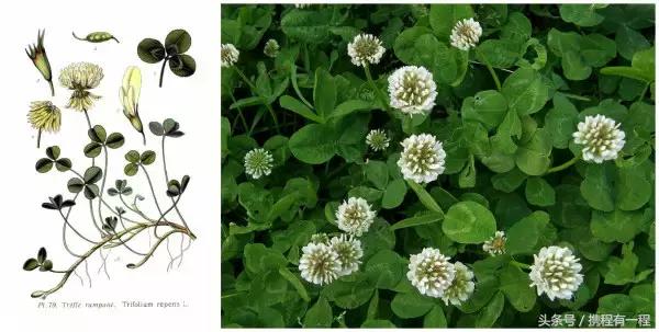 是什么样的国家，公共厕所里竟然只有一个拳头大的壶？