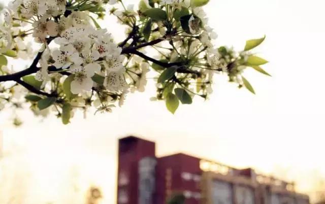 我在昆明理工大学，我为昆工骄傲