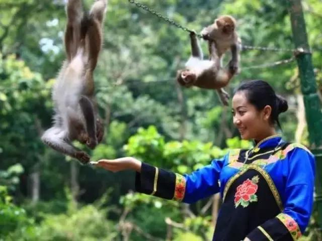 一条微信甩给你教南宁人如何玩转女王节拿走不谢