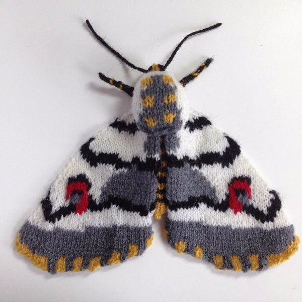 你以为飞蛾都是灰蒙蒙的吗？她用毛线再造灭绝飞蛾惊艳所有人！