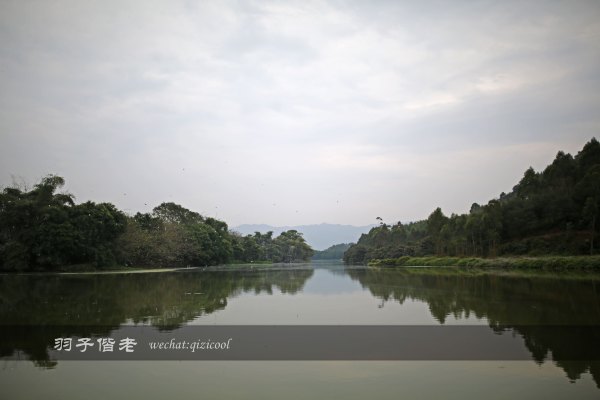 居于涟岸隐于湖,到肇庆体验离尘不离城的精致慢生活