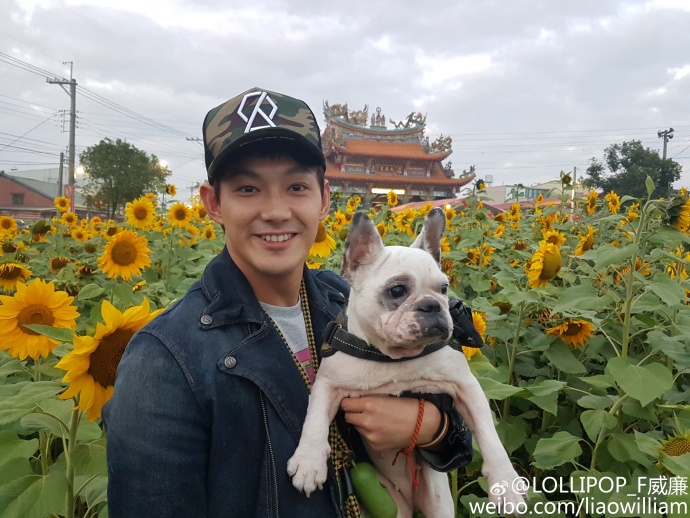 棒棒堂有哪些成员火了,棒棒堂现在谁出名了