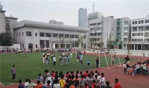 合肥市最好的12所小学，合肥人挤破头都想进来！