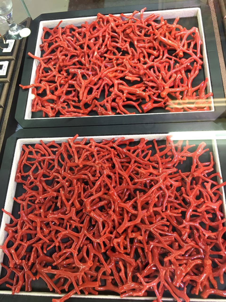 红珊瑚欢迎选购,质量最好的红珊瑚