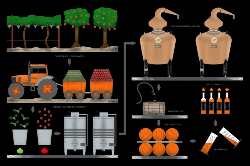 白兰地：是酒，但更是一种文化