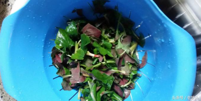 最简单的清热解毒菜,清热解毒的一道家常菜