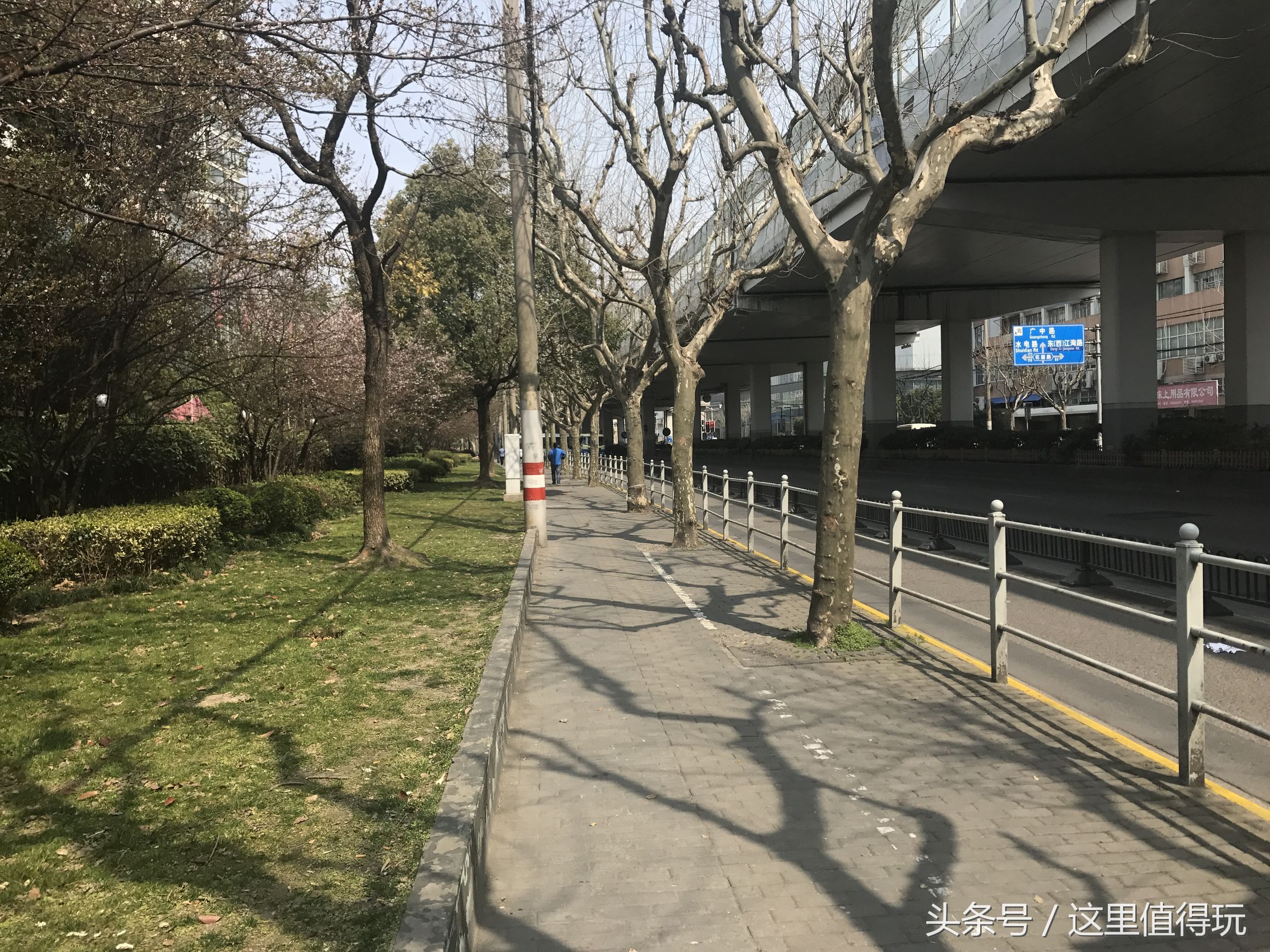 虹口足球场申花比赛,上海申花球迷为国家队加油助威