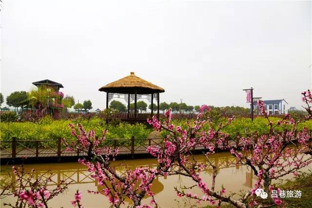 2018上海三八节景点有哪些,上海三八妇女节哪个公园免门票