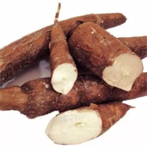 喝了假沸的豆浆会致死吗,未完全煮沸的豆浆会中毒吗