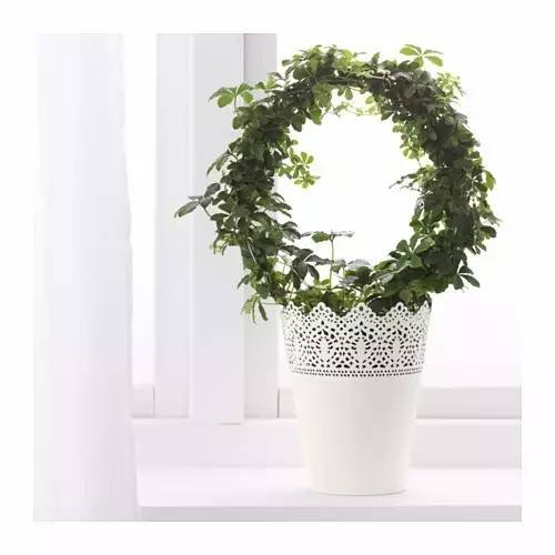 不建议购买的宜家产品,宜家这八件千万别买