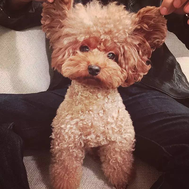 遮、盖、买，小夫妻这样对付老土精装房，悔不当初没买毛坯房