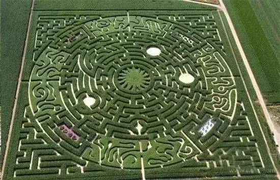 宁波好玩的迷宫,动心吗